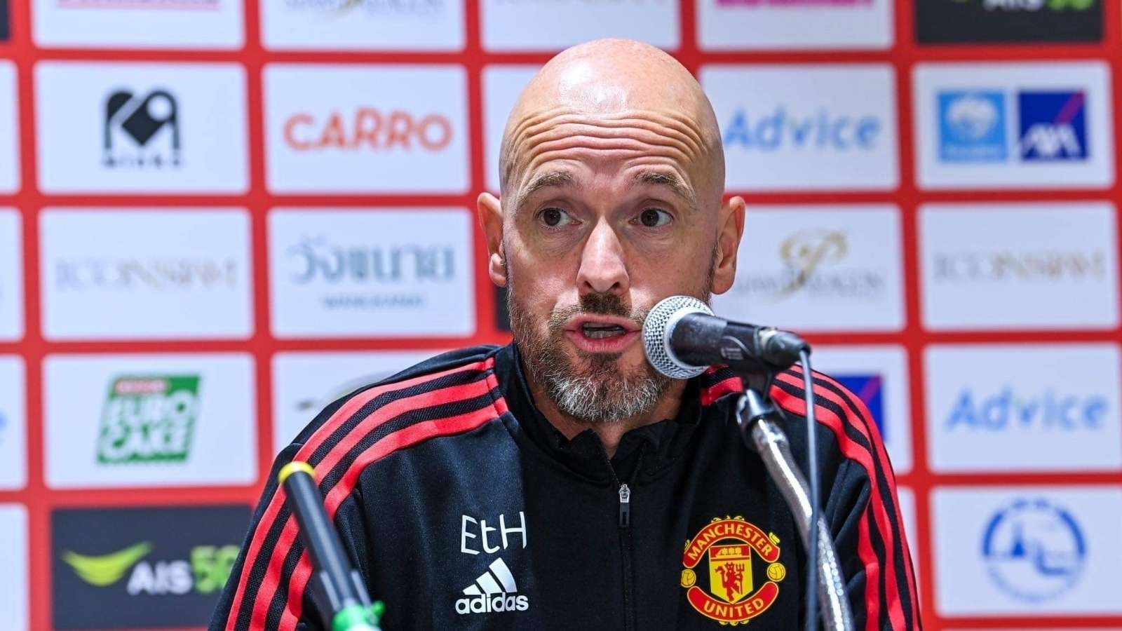 构建起了全 构建起了全